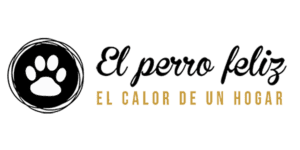 perro feliz